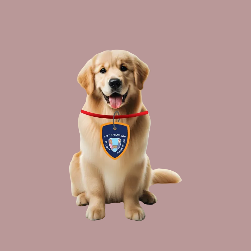 Pet Tag (Dog / Cat Tag)